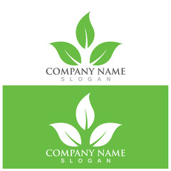 leaf ecology  icon vector illustration template design