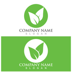 leaf ecology  icon vector illustration template design
