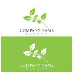 leaf ecology  icon vector illustration template design