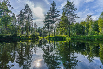 Beautiful summer view from a river in northern Sweden