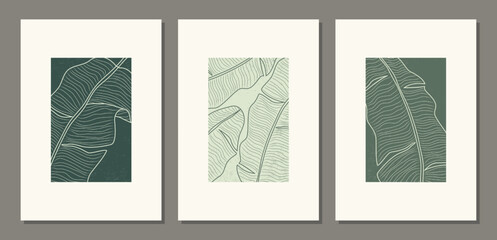 Set of minimalist botanical line art with banana palm leaves, abstract collage