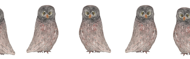 Watercolor illustration banner with the owl. Hand-painted watercolor graphic drawing on white background, isolated clip art elements for design, banner, and frame.