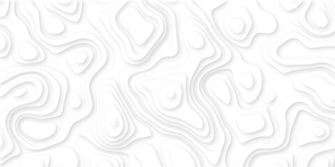 Abstract 3d wavy line white paper cut background.realistic papercut decoration textured with wavy layers.3d Topographic canyon geometric map relief texture with curved layers and shadow.