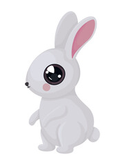 Fototapeta premium cute rabbit design