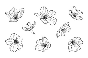 Set of Cherry blossoms flowers and logo. Trendy botanical elements. Hand drawn line leaves, branches and blooming. Wedding elegant wildflowers for invitation save the date card. Vector linear design.