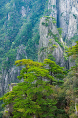 Natural scenery of Huangshan Scenic Area in Anhui Province
