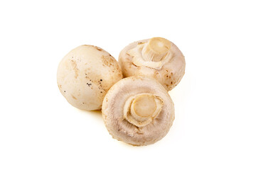 Champignon mushrooms, isolated on white background.