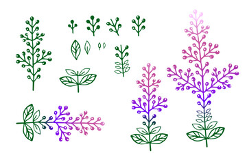 Set of flower details. Abstract flower leaves and twigs on a white background. Hand drawn vector illustration
