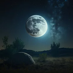 Zelfklevend Fotobehang Volle maan en bomen full moon over the mountains