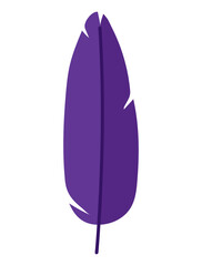 purple feather image