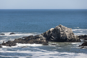 Sea lions on the rocks of Isla Maiquillahue near Valdivia, Chile