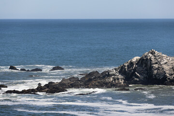 Sea lions on the rocks of Isla Maiquillahue near Valdivia, Chile
