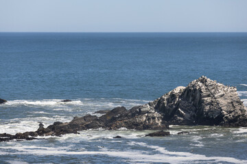 Sea lions on the rocks of Isla Maiquillahue near Valdivia, Chile