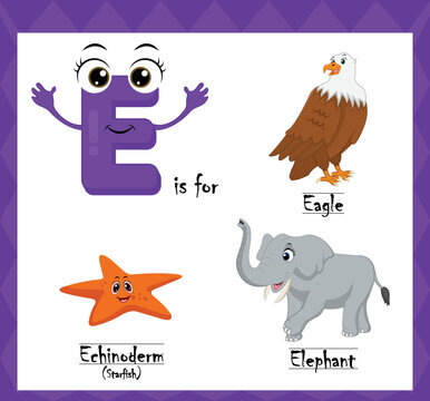Letter e vector, alphabet e for eagle, echinoderms (starfish), elephant animals, english alphabets learn concept.