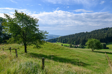Fototapeta na wymiar panoramic view of a meadow in the austrian region muehlviertel