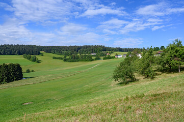 Fototapeta na wymiar panoramic view of a meadow in the austrian region muehlviertel