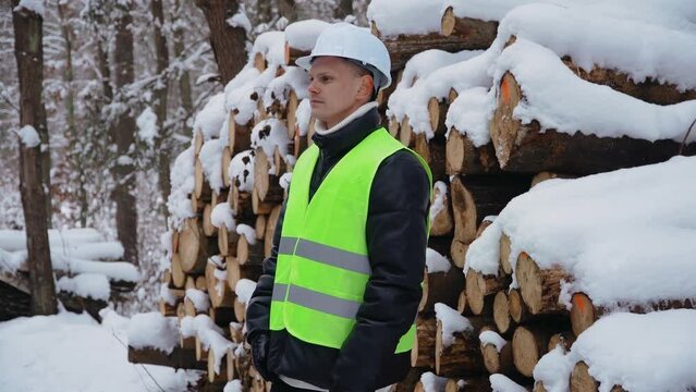 Forest worker in safety helmet and protective vest standing on front of stacked logs covered with snow in winter. Working in logging. Deforestation and heavy industry on global ecological system