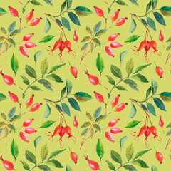 Seamless pattern with hand painted watercolor rose hip berries with green leaves on a green background.