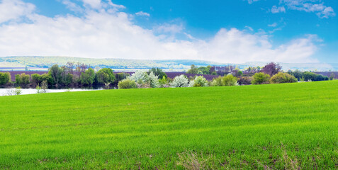 Spring landscape with green field, trees near river and picturesque blue sky with white clouds