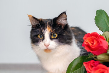 Fototapety na wymiar - Fototapeta24.pl