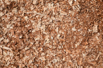 Wood sawdust texture on the floor