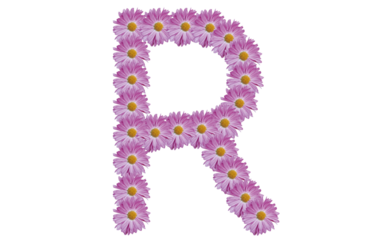 Letter R made with pink flower isolated on white background. Spring concept idea.