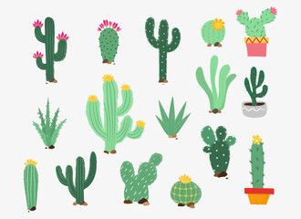 Vector cactus , Vector illustration of cactus with texture, decorations