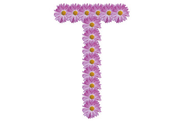 Letter T made with pink flower isolated on white background. Spring concept idea.