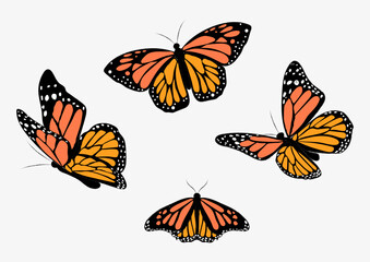 Vector  butterflies,  vector illustration of textured butterflies, decorations 