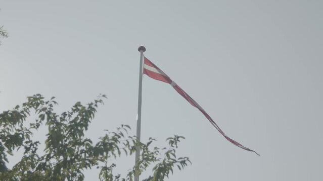 Wehender d&auml;nischer Langwimpel - Flagge von D&auml;nemark im Sommer vor Himmel im Gr&uuml;nen
