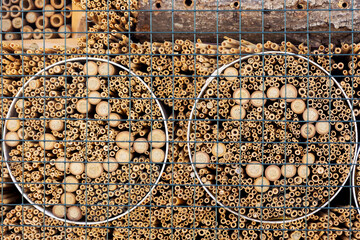 Insect Hotel or Insects House Close up