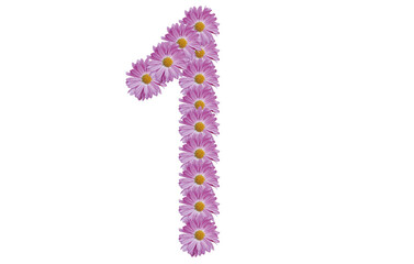 Number one made with pink flower isolated on white background. Spring concept idea.