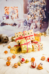 New Year's interior in a photo studio