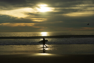 Newport Surfer at Sunset