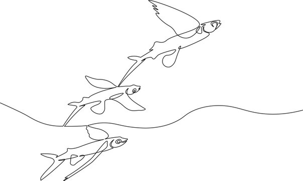 Three flying fish on ocean surface made in the one continuous line art technique. Minimalistic black and white image