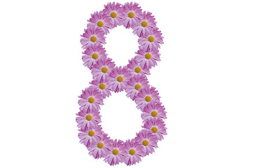 Number eight made with pink flower isolated on white background. Spring concept idea.