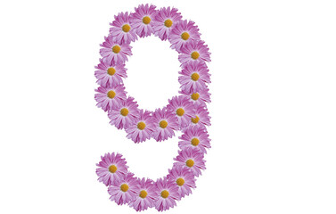 Number nine made with pink flower isolated on white background. Spring concept idea.