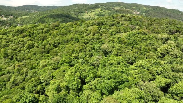 Video aéreo da Serra da cantareira em Mairiporã, São Paulo, berço da mata atlantica, com uma rica diversidade de flora e fauna nativa