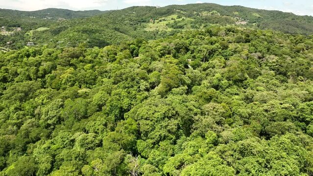 Video aéreo da Serra da cantareira em Mairiporã, São Paulo, berço da mata atlantica, com uma rica diversidade de flora e fauna nativa