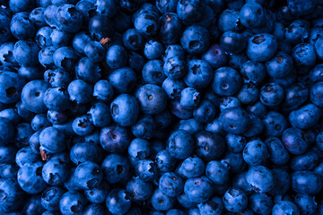 Fresh blueberry background. Texture blueberry berries close up.