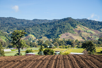 Campo arado en Volcan Chiriqui Panama.
