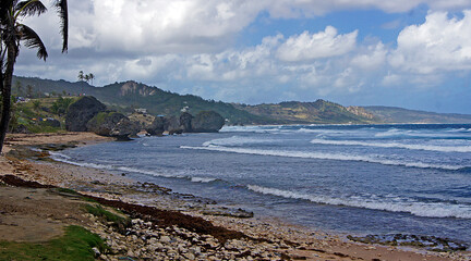 Basheba, east coast, island of Barbados