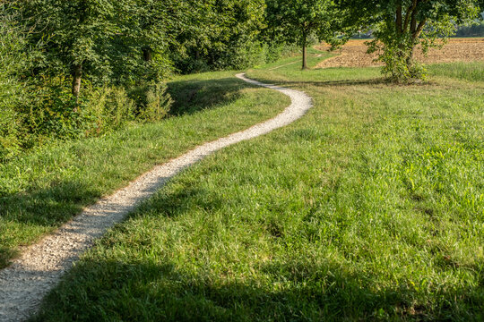 Schmaler Kiesweg in Wiese und Waldrand