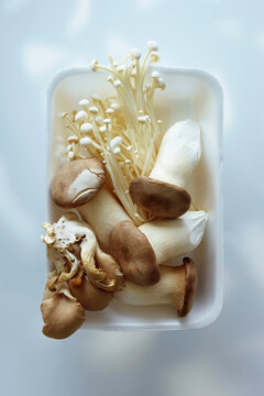 Oyster, King and Enoki Mushrooms in a Styrofoam Container
