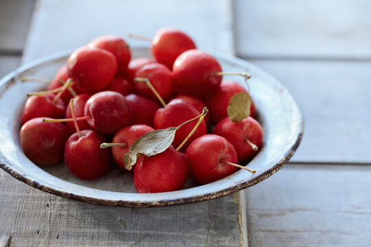 Bowl of Crabapples