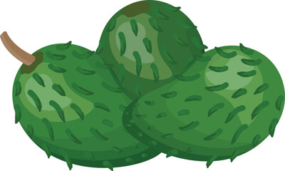 Green soursop icon cartoon vector. Graviola annona. Muricata tree
