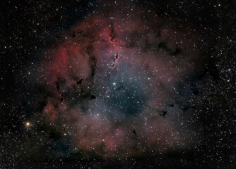 The Elephant’s Trunk Nebula (IC1396) is an emission nebula located roughly 2,400 light years from Earth in the constellation Cepheus. The bright yellow star is The Garnet Star (aka Mu Cephei, Erakis).