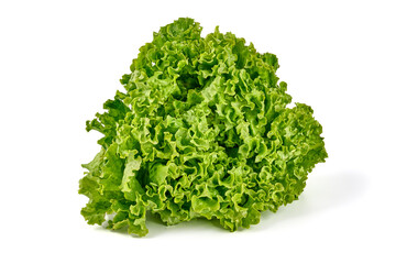 Obraz na płótnie Canvas Lettuce Salad leaves, isolated on white background.