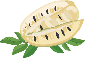 Slices soursop icon cartoon vector. Food fruit. Tropical plant