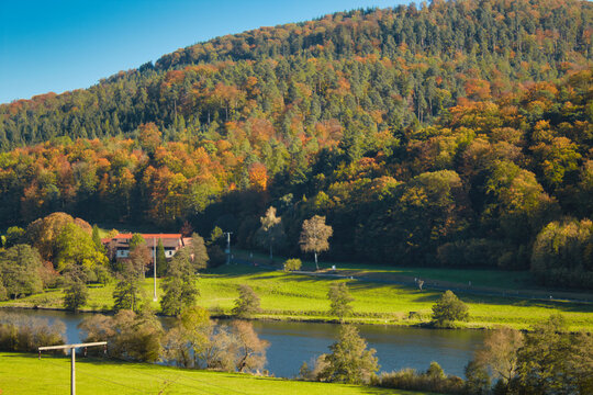 Blick auf den Main